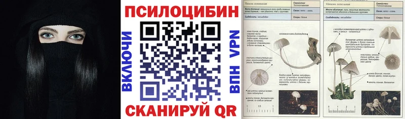 Псилоцибиновые грибы Psilocybe  что такое наркотик  Себеж 